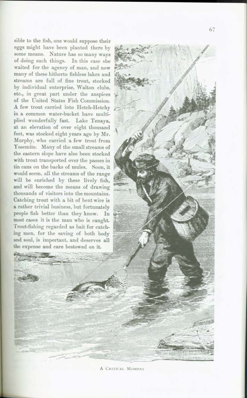 OUR YOSEMITE NATIONAL PARK. vist0061l